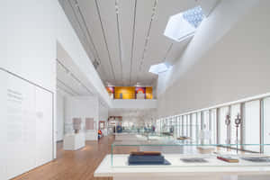 現代博物館畫廊，設有玻璃展示櫃、木地板和天窗，展示文物。 — Surface Laptop 壁紙