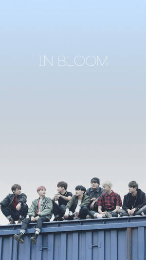 七位年輕男子坐在藍色金屬容器上，上方有「IN BLOOM」字樣。