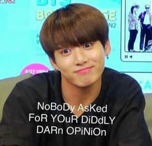 年輕男子露出得意的笑容，文字覆蓋寫著 'NoBoDy Asked FoR YOuR DiDdLY DArn OPiNiOn'