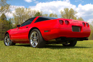 紅色Corvette跑車停放在陽光下的綠色草地上，有樹木。