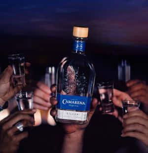 喺黑暗嘅派對氣氛中，一群人用龍舌蘭酒同支酒乾杯。