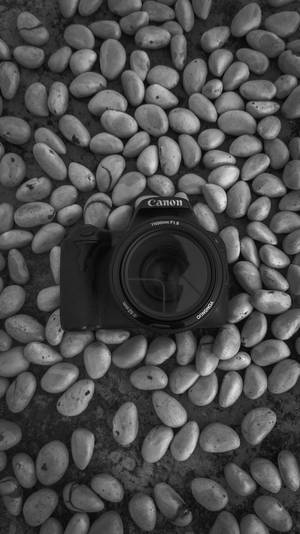 黑色Canon DSLR相機在灰階光滑石頭上。
