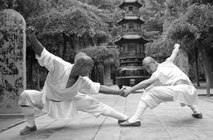 兩名僧侶在一個有樹木和石塔的寺廟庭院中練習武術。