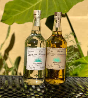兩瓶Casamigos龍舌蘭酒blanco和reposado放在金屬桌上，後面有綠色植物。