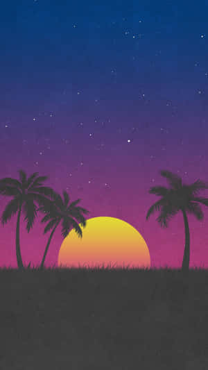 棕櫚樹在鮮豔的日落和繁星點點的夜空下形成剪影。