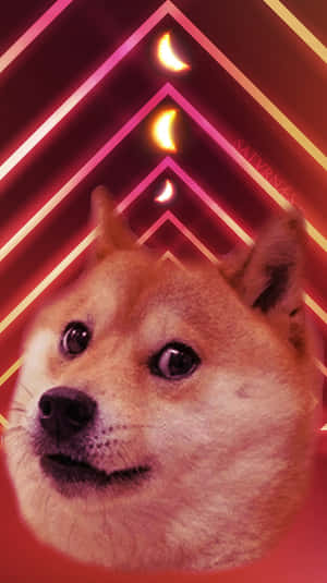 柴犬的臉在帶有發光新月的霓虹隧道中。