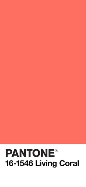 帶黑色文字的Pantone Living Coral色板。