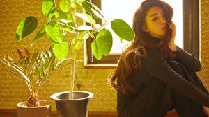 女性坐在窗邊，與植物一起沐浴在金色陽光中