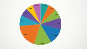 一個彩色圓形圖，在灰色背景上顯示分段數據百分比。