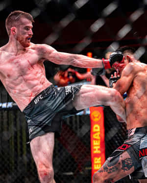 兩名拳手在UFC比賽中在八角籠內交換血淋淋的高踢。