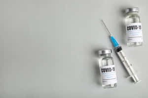 灰色背景上的兩個COVID-19疫苗小瓶和一個注射器。