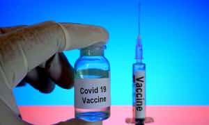 戴手套的手握住Covid 19疫苗小瓶，注射器在旁。