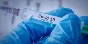 戴著手套的手拿著一支Covid-19疫苗接種注射器。