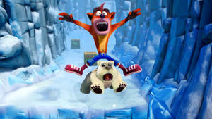 Crash Bandicoot 騎著北極熊穿過冰凍峽谷。