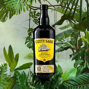 黑色 Cutty Sark 威士忌酒瓶被熱帶綠葉環繞。