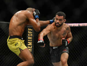 兩名男性MMA拳手在UFC比賽期間於鐵籠內互毆。