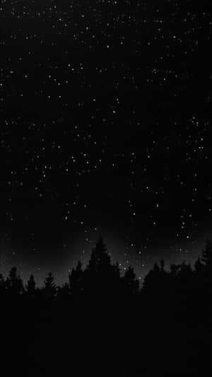 森林剪影之上的星空夜空