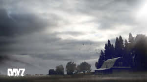 霧氣瀰漫的田野中，一座質樸的小屋，伴隨著烏雲和飛鳥。 — Dayz GIF 壁紙