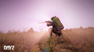 迷彩玩家在日落時分的高草叢中瞄準步槍。 — Dayz GIF 壁紙