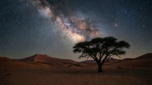 夜間沙漠中的一棵樹，上方可見銀河。