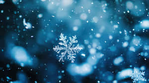 一片細節豐富的雪花漂浮在藍色雪景中，背景光線模糊