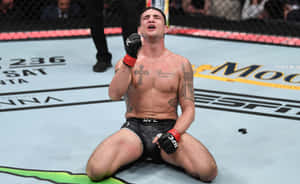 MMA拳手在八角籠中比賽後慶祝勝利。