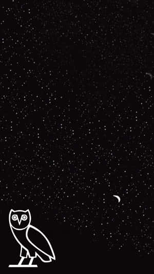 星空下貓頭鷹的白色線條藝術，帶新月。
