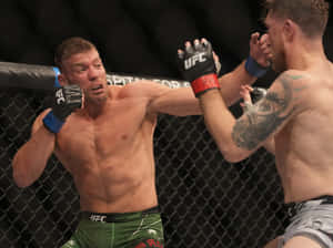 兩名男性MMA拳手在八角籠內進行UFC比賽時互相出拳。 — 4:3 壁紙