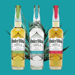 三瓶 Dulce Vida 龍舌蘭酒，配有龍舌蘭葉，放在藍綠色背景上。