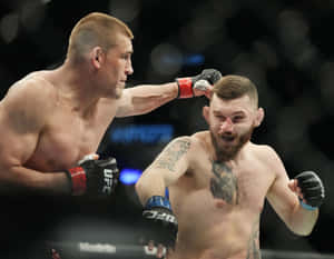 兩名男性拳手在UFC比賽中於八角籠內互毆。