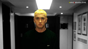 Eminem 身穿黑色襯衫，站在酒店走廊，牆上掛著裱框圖片。