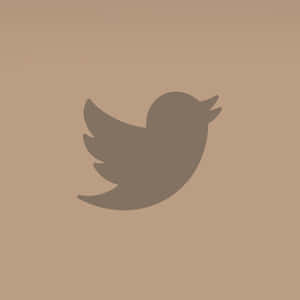 米色背景上的灰色Twitter鳥標誌