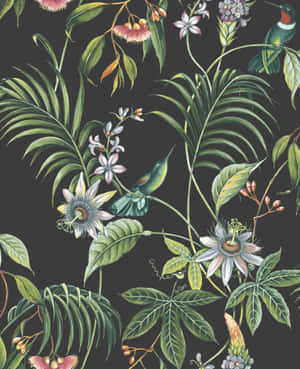 深色背景上詳細植物插圖中的熱帶花卉和蜂鳥。 — 花卉動畫 壁紙
