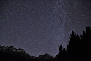 繁星點點的夜空下的雪山和松樹