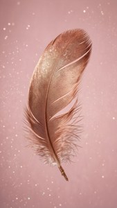 一根帶白色尖端的玫瑰金色羽毛漂浮在粉紅色閃粉背景上。