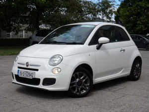 白色Fiat 500小型車停泊在鋪砌的停車場上，後面有樹木和房屋。