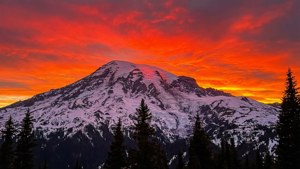 日落時分積雪的山峰，橙紅色天空，前景有常綠樹