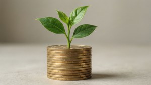從一堆金幣中生長出來的小綠色植物。