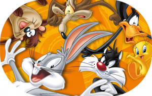 一組 Looney Tunes 卡通角色在橙色背景上以動態姿勢呈現。