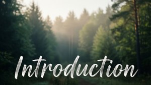 森林場景，陽光和白色草書的「introduction」