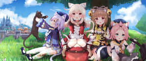 四個有貓耳的動漫女孩在城堡附近的草地上抱著貓。 — 2560x1080 壁紙