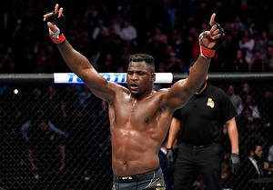 UFC拳手在八角籠中高舉雙臂慶祝勝利。
