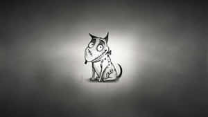 Frankenweenie 背景 — 科學怪犬 壁紙