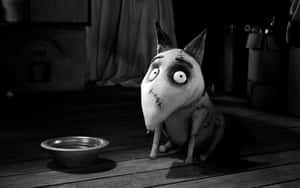 Frankenweenie 背景 — 科學怪犬 壁紙