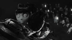Frankenweenie 背景 — 科學怪犬 壁紙