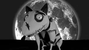 Frankenweenie 背景 — 科學怪犬 壁紙