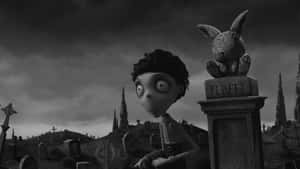 Frankenweenie 背景 — 科學怪犬 壁紙