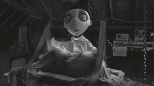 Frankenweenie 背景 — 科學怪犬 壁紙
