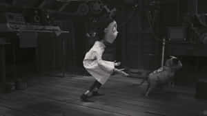 Frankenweenie 背景 — 科學怪犬 壁紙