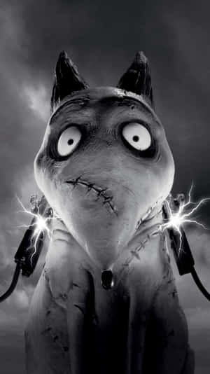 Frankenweenie 背景 — 科學怪犬 壁紙